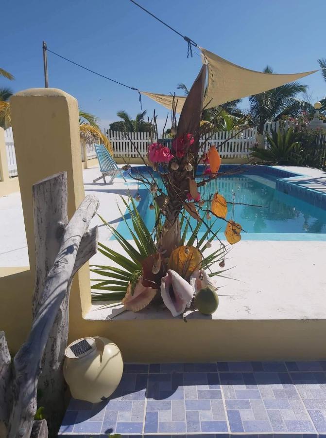 The Novelo Guest house
