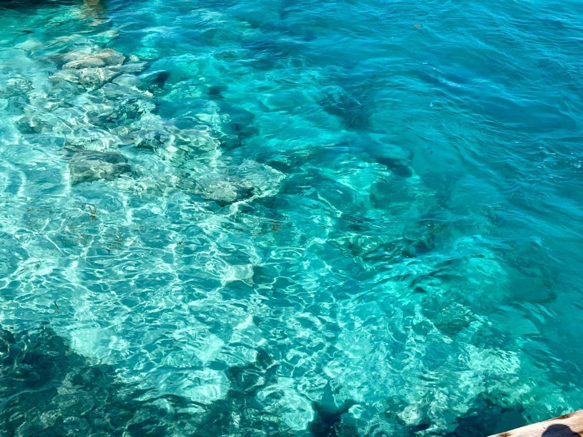 The Novelo Caye Caulker