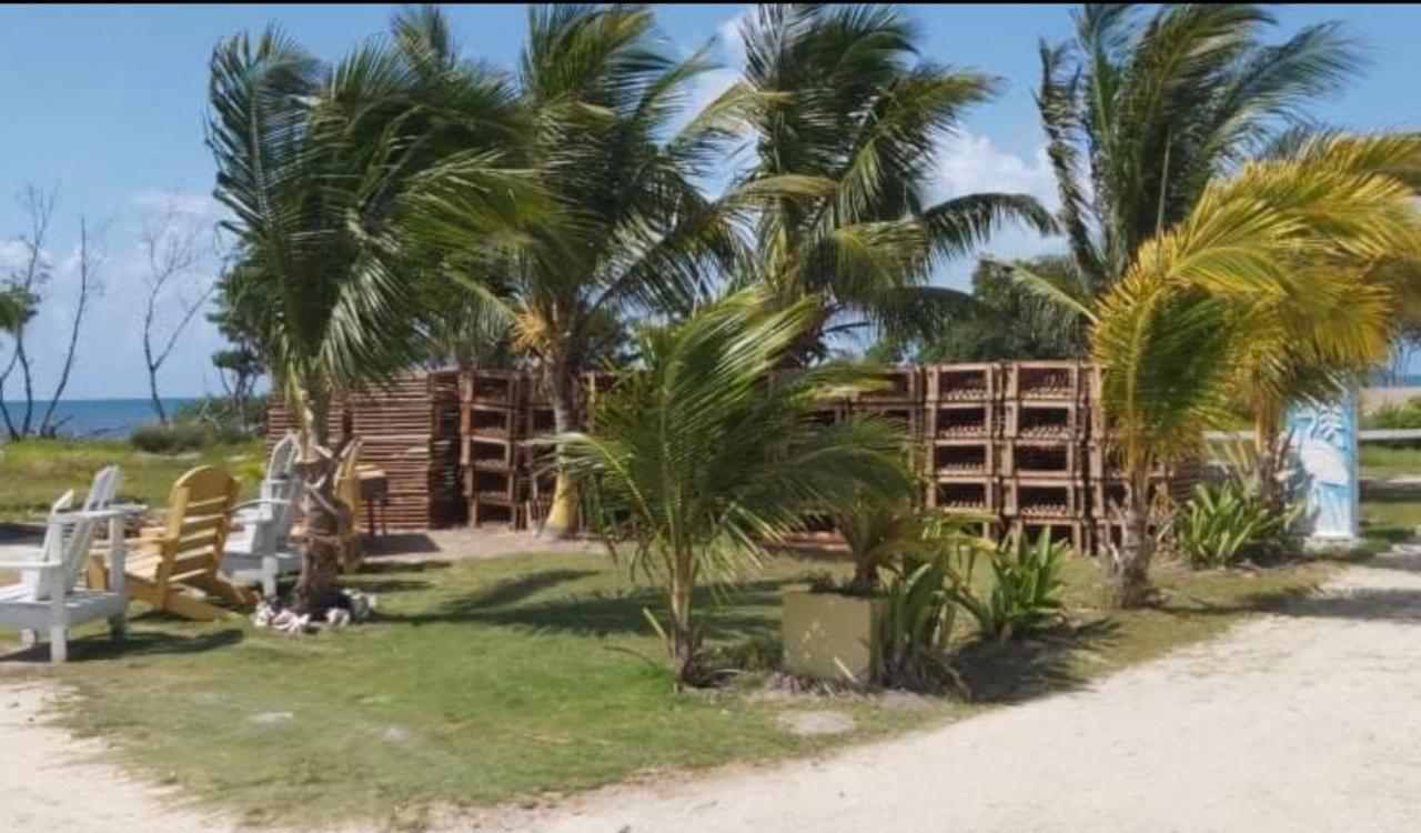 The Novelo Caye Caulker