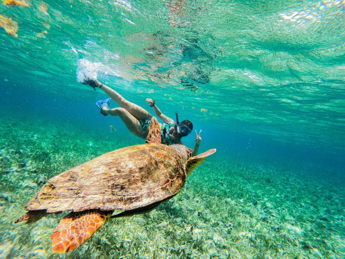 Bella's Backpackers Caye Caulker