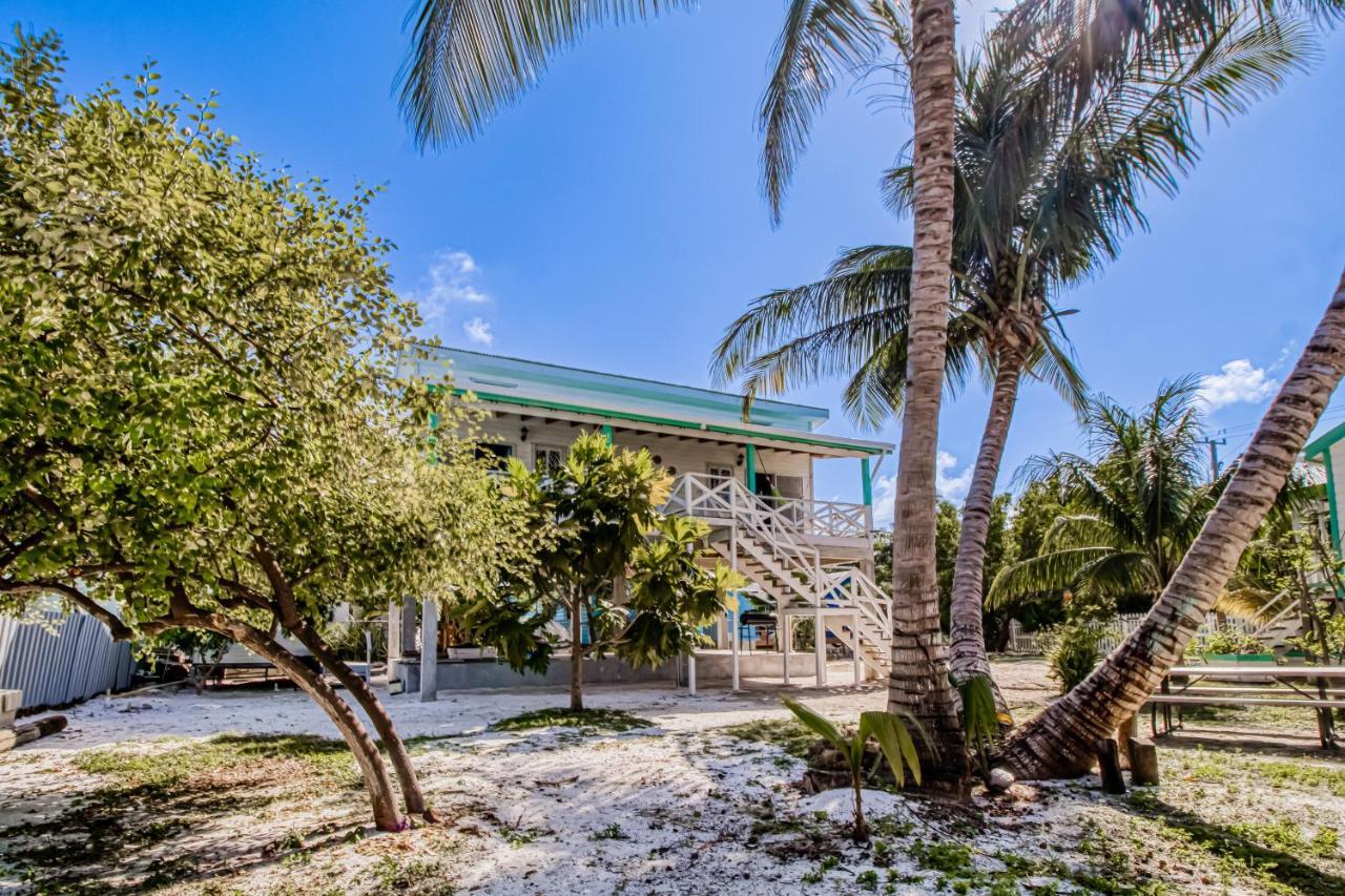 Dv 3 At Dv Gold Standard Certified * Caye Caulker