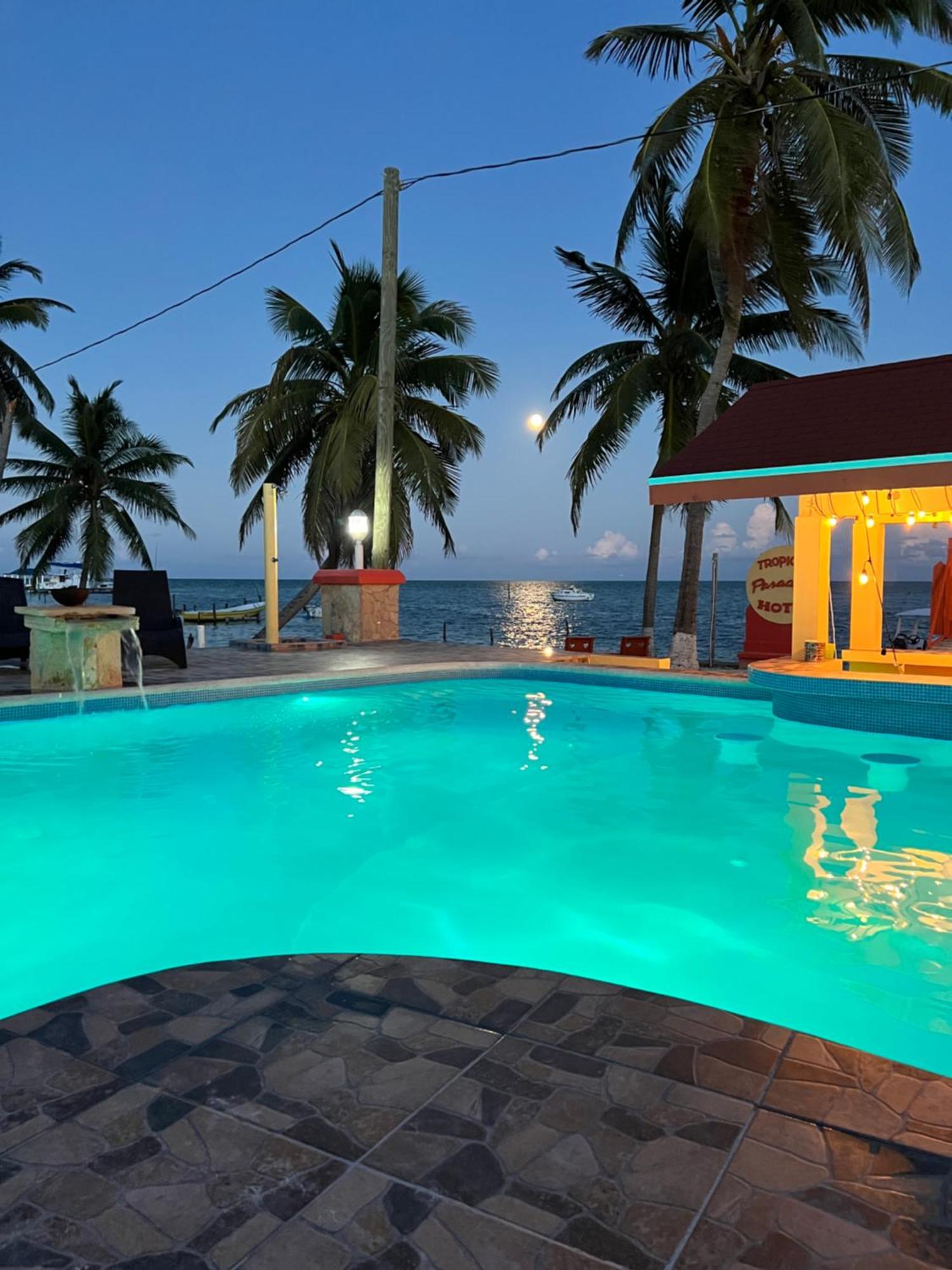 Tropical Paradise