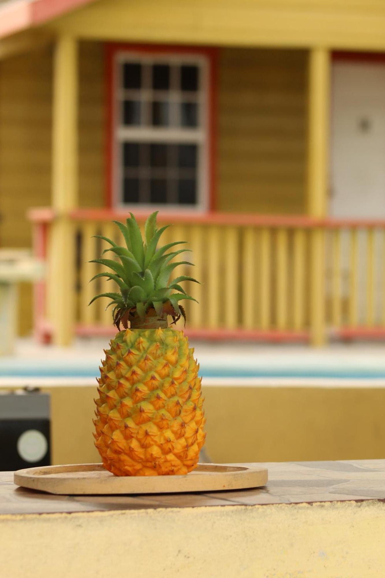 Tropical Paradise 3* Caye Caulker