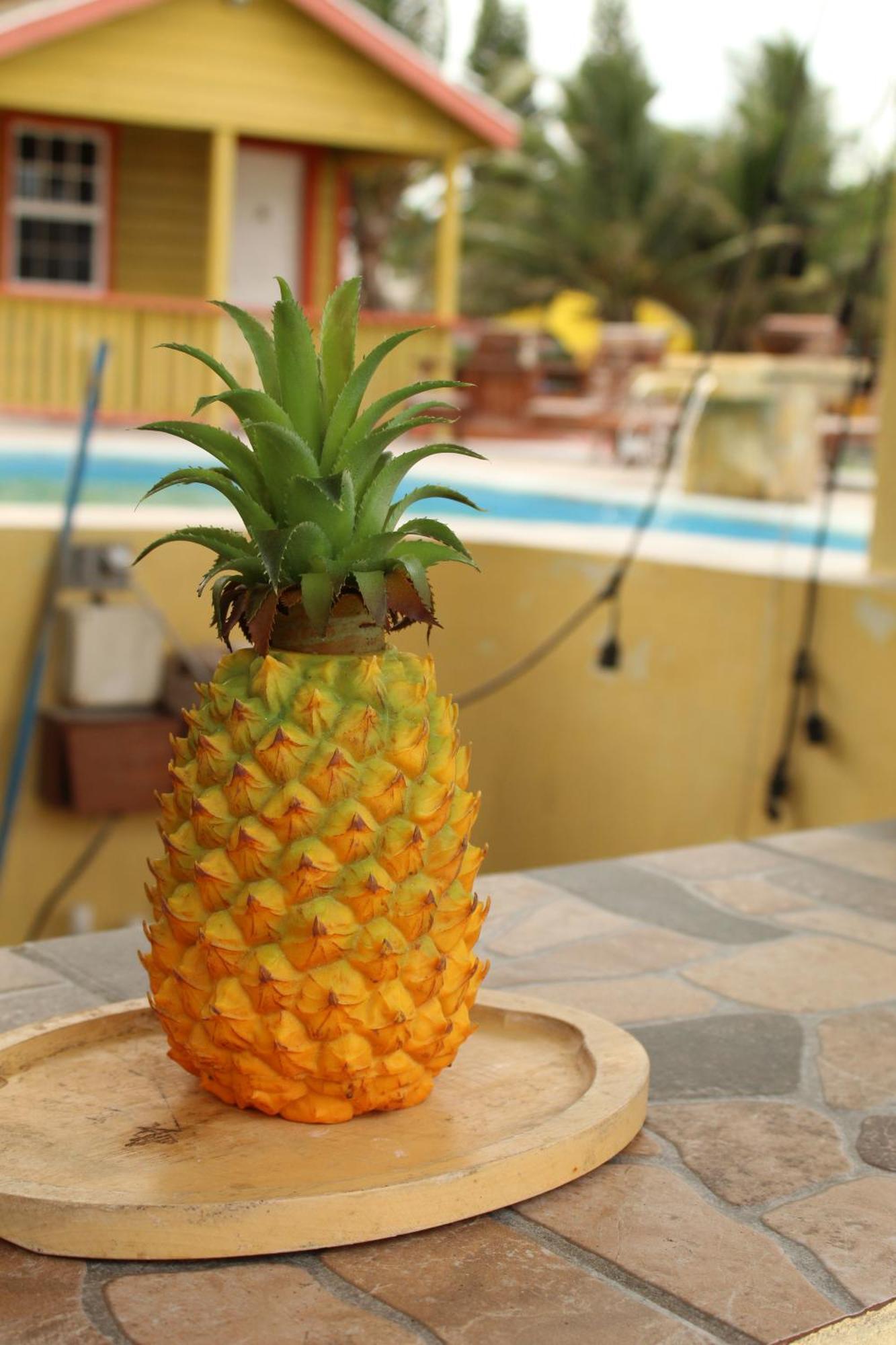 Hotel Tropical Paradise