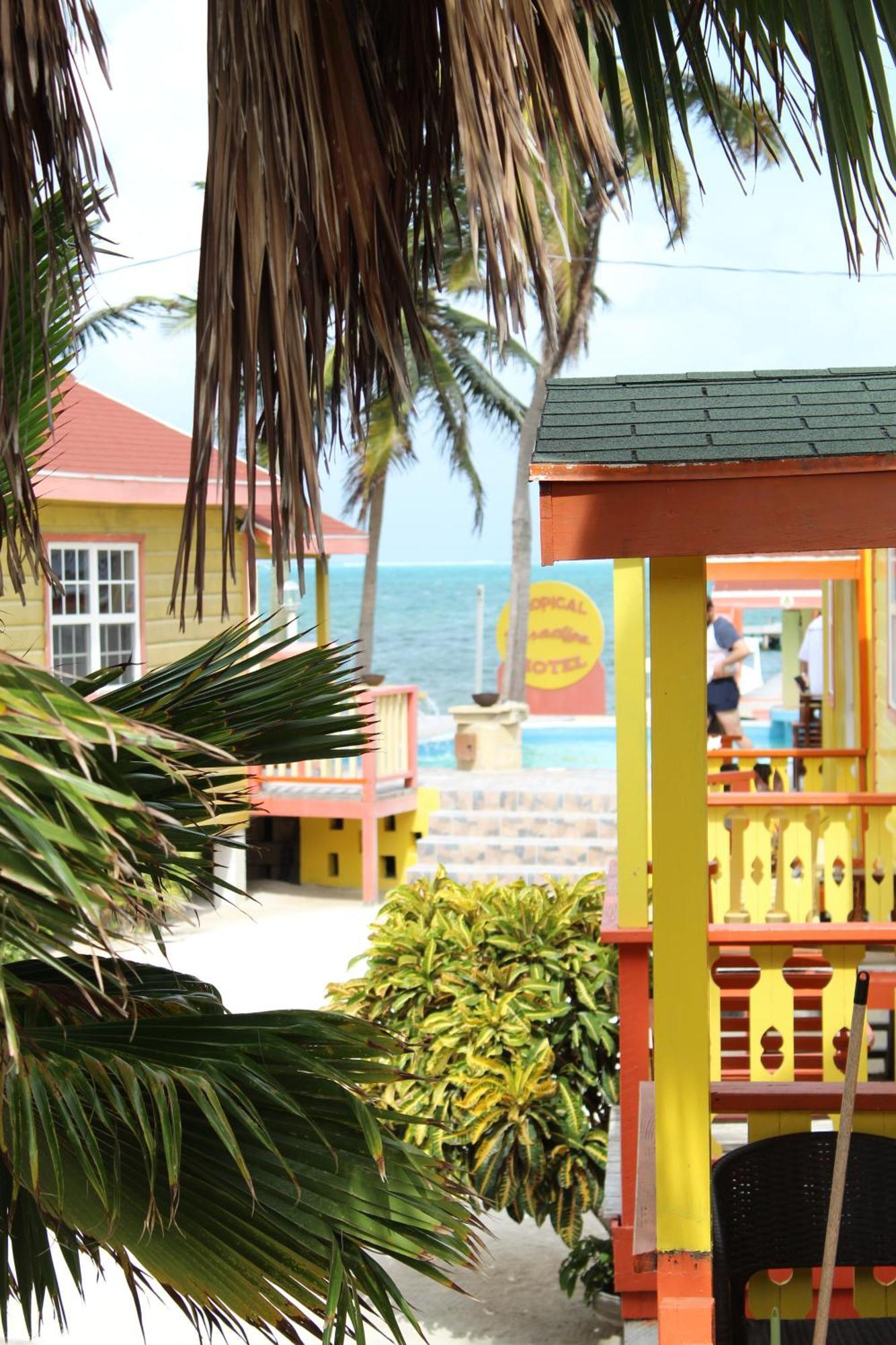 Hotel Tropical Paradise 3*