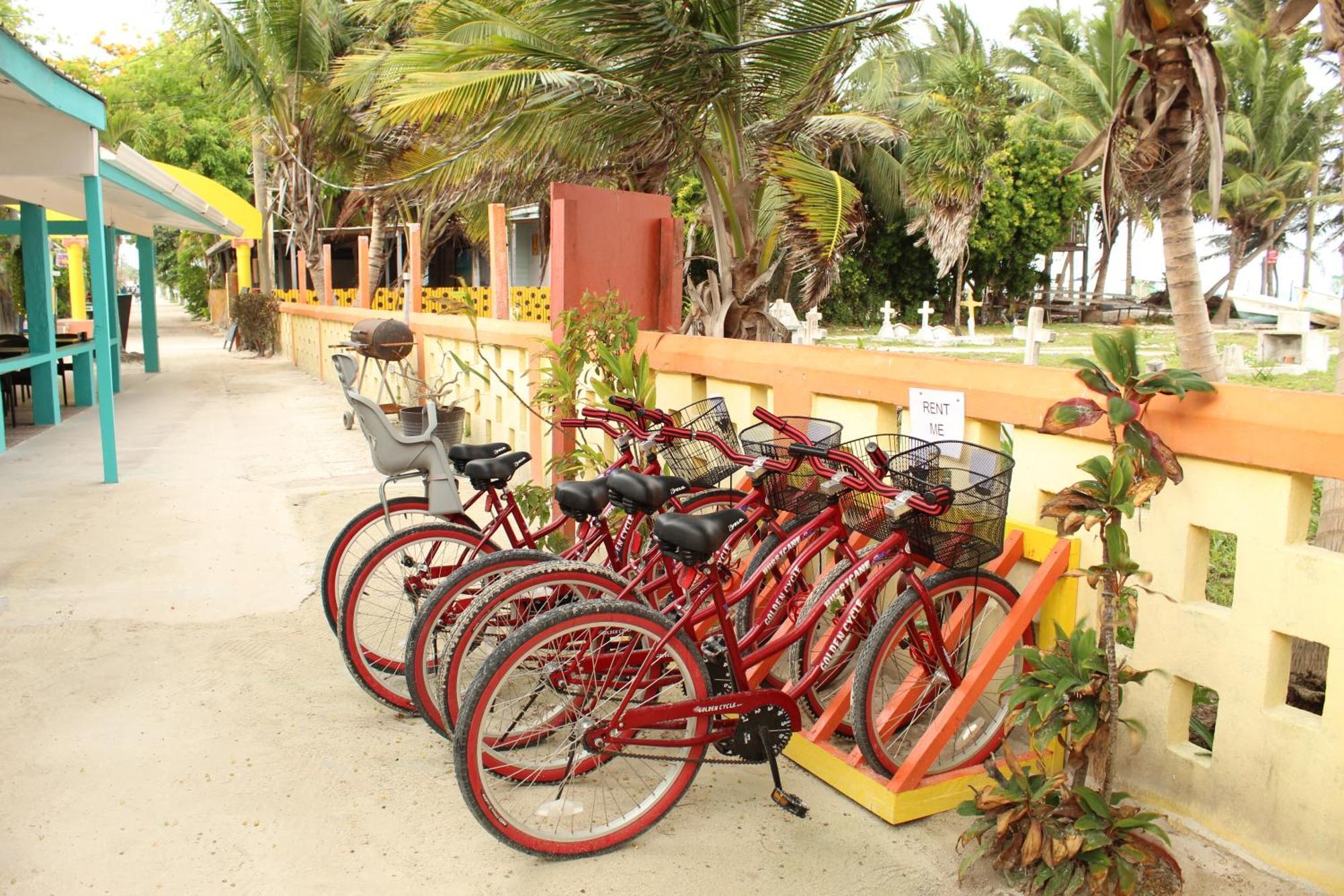 Hotel Tropical Paradise 3*