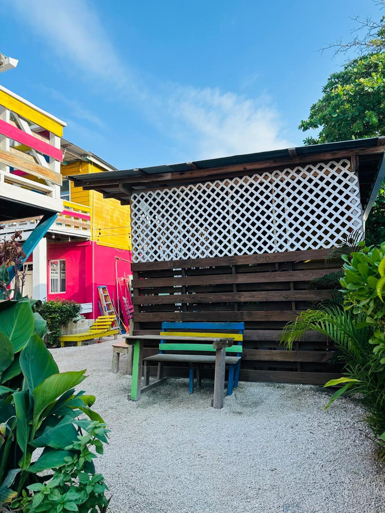 Go Slow * Caye Caulker