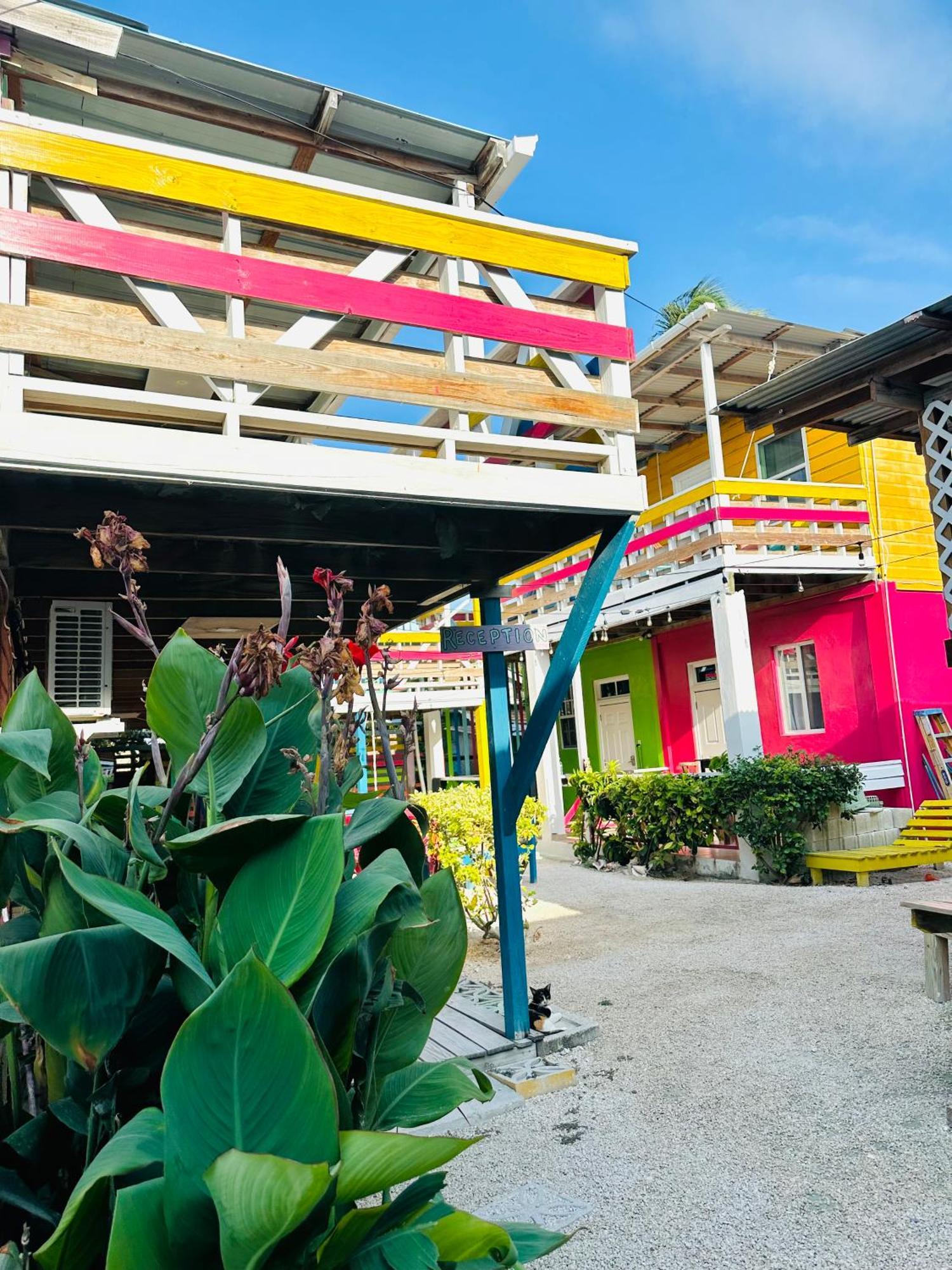 Hostel Go Slow Caye Caulker