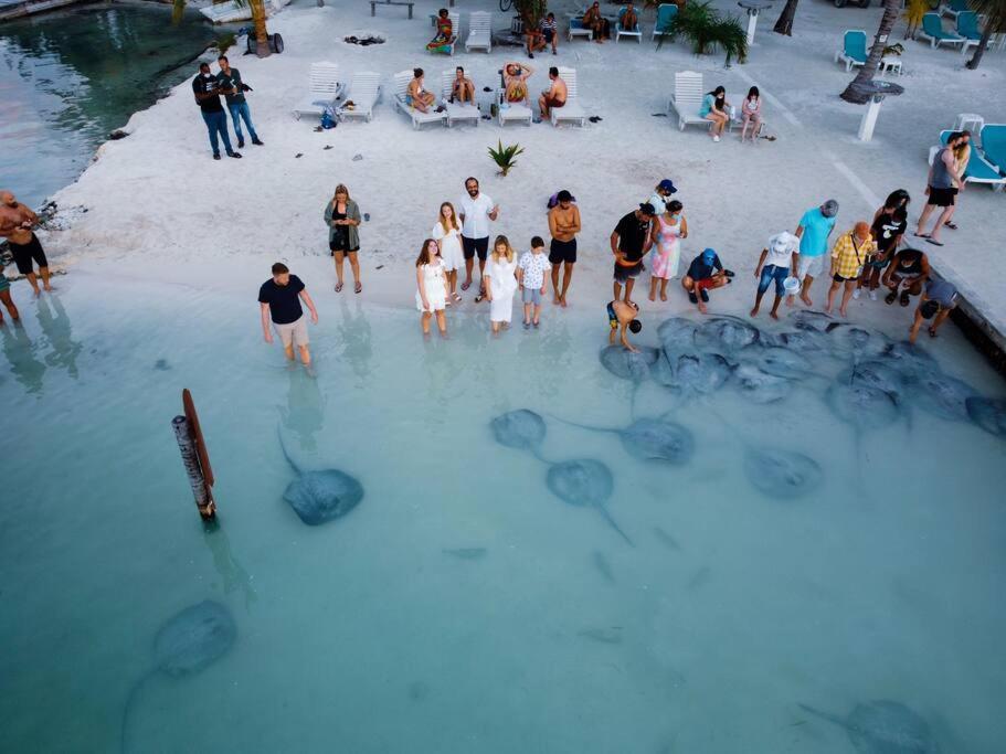Hidden Treasure Vacation Lagoona Bay * Caye Caulker