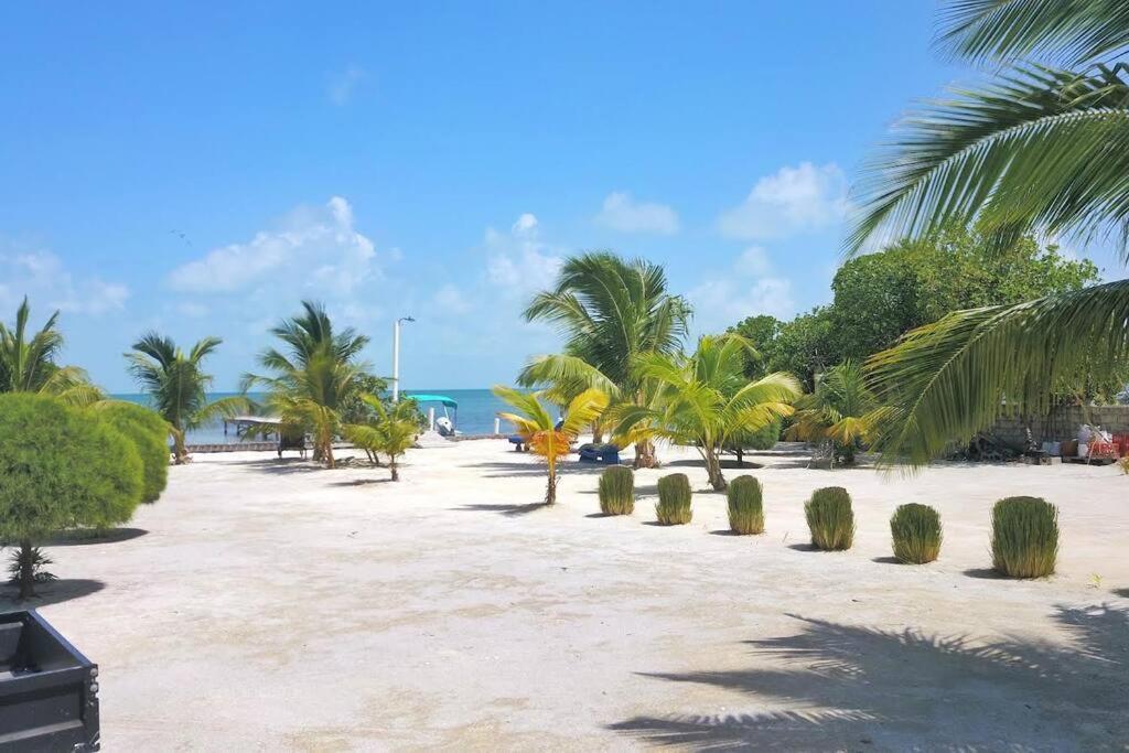 Hidden Treasure Vacation Lagoona Bay Apartment Caye Caulker