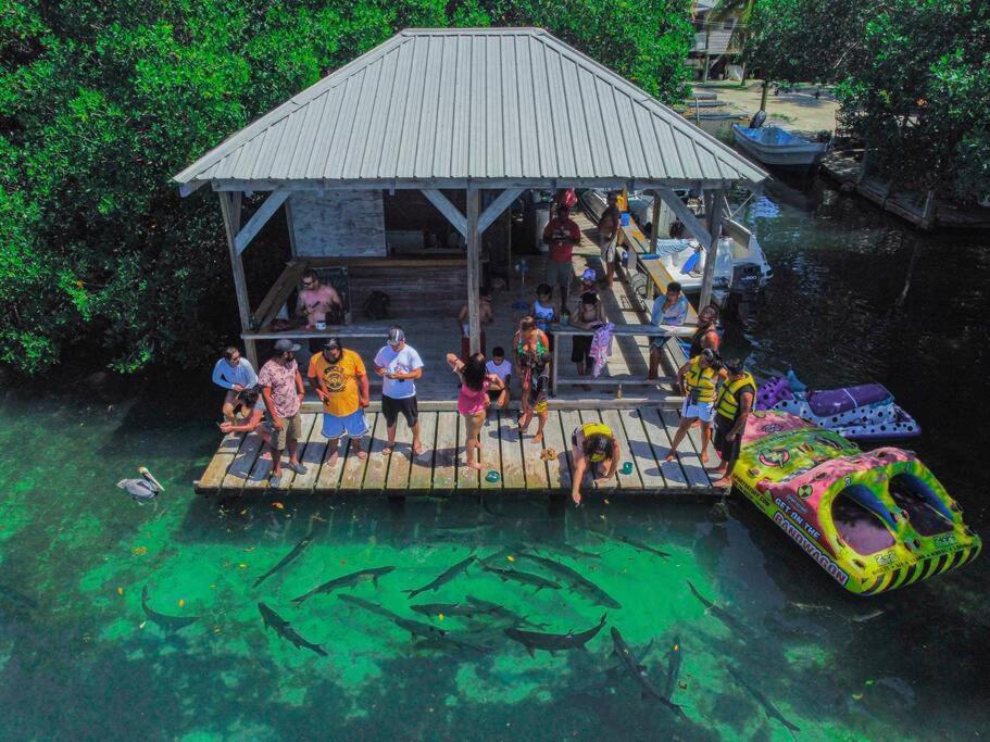 Hidden Treasure Vacation Lagoona Bay Caye Caulker