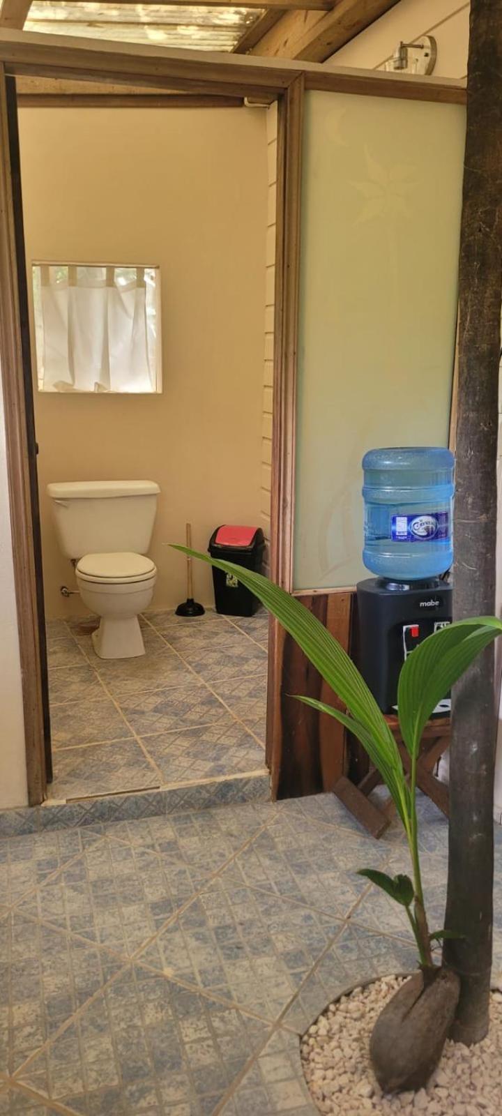 Bed & Breakfast Jungle Cocoon Caye Caulker