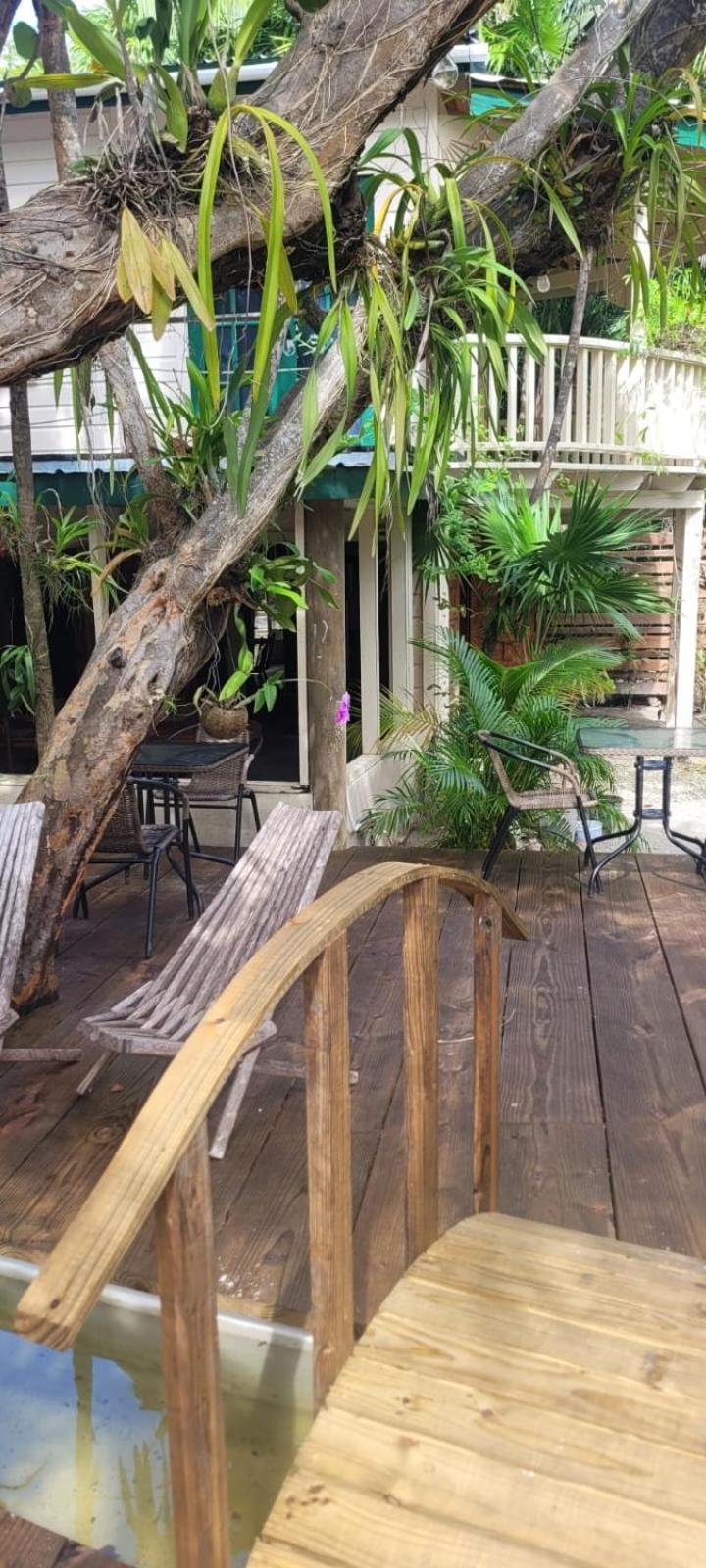 Jungle Cocoon 3* Caye Caulker