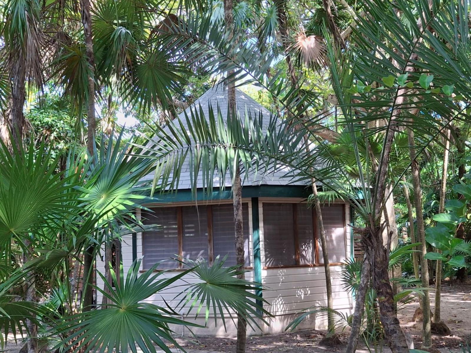 Bed & Breakfast Jungle Cocoon 3*