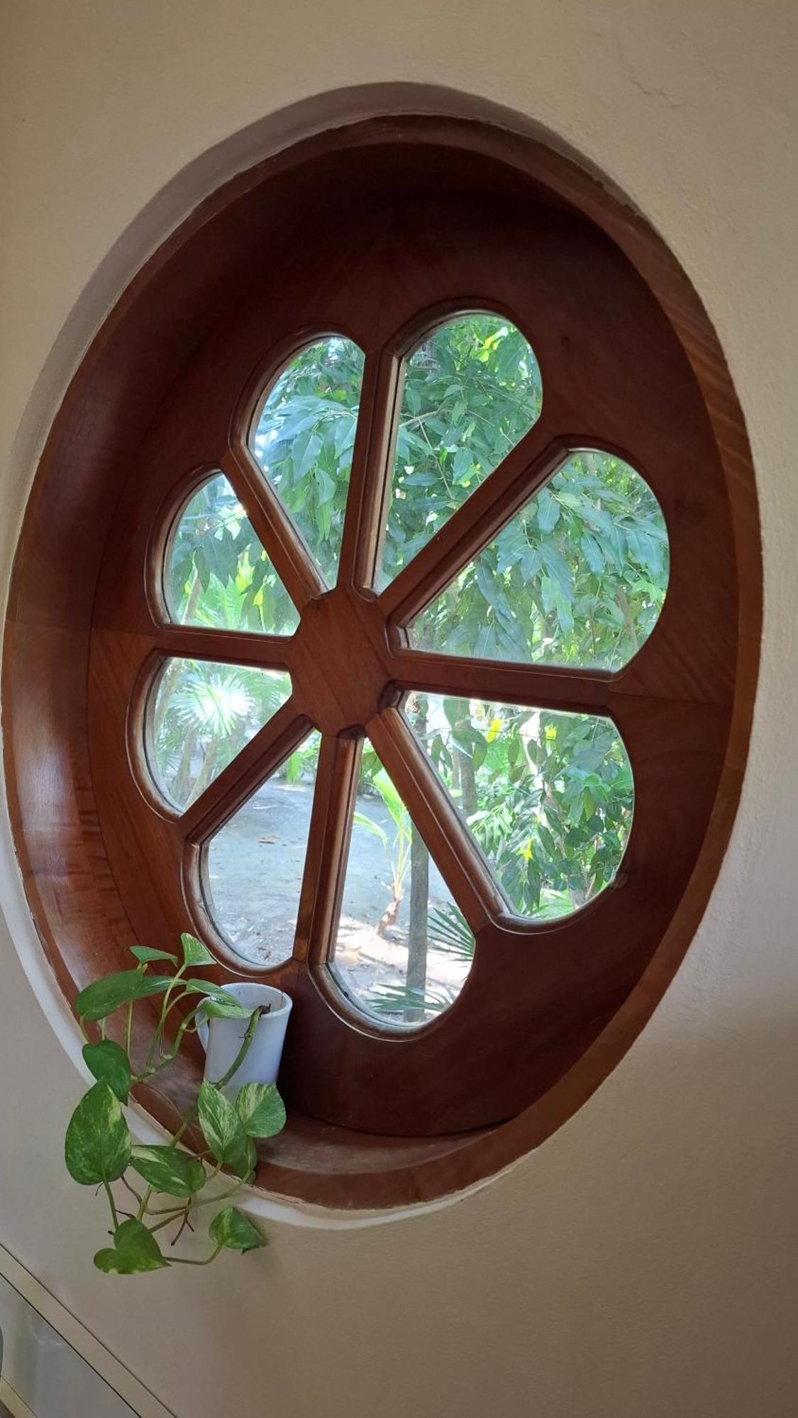 Jungle Cocoon Bed & Breakfast