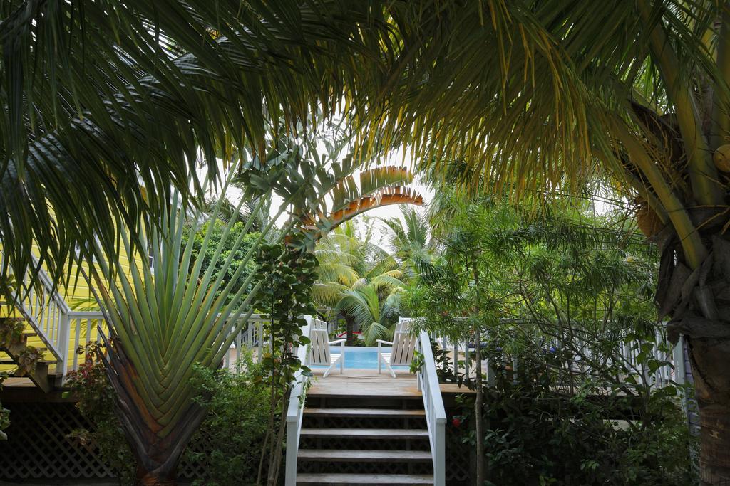 Weezie's Ocean Front And Garden 3* Caye Caulker
