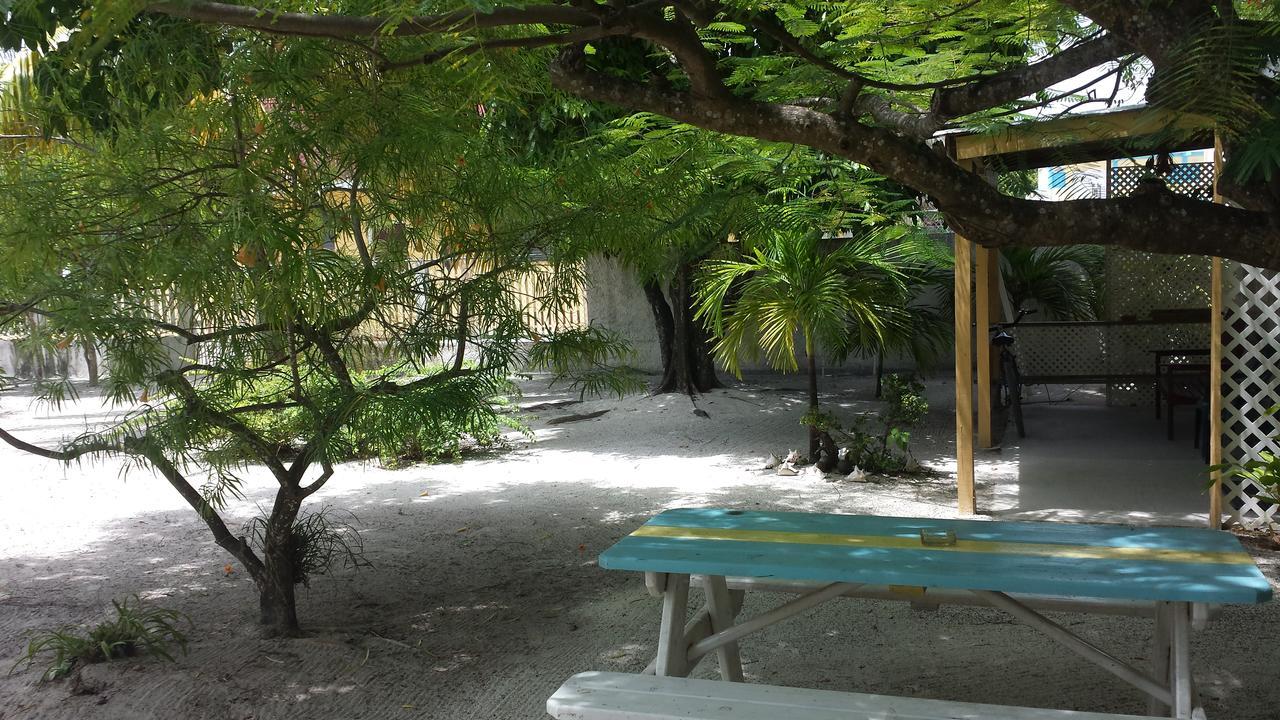 Jaguar Morning Star Guest house Caye Caulker