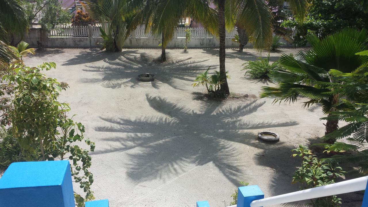 Jaguar Morning Star Guest house