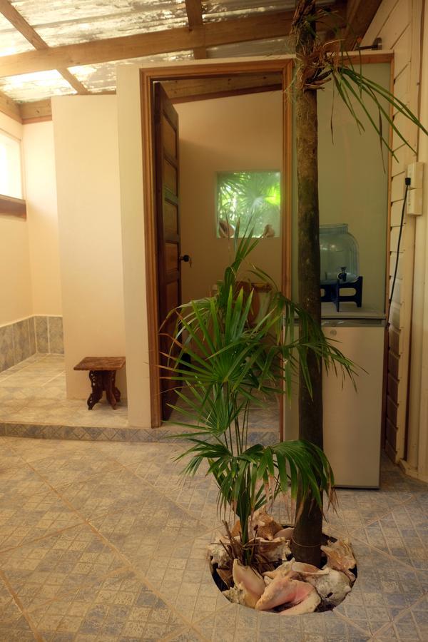 Bed & Breakfast Jungle Cocoon 3*
