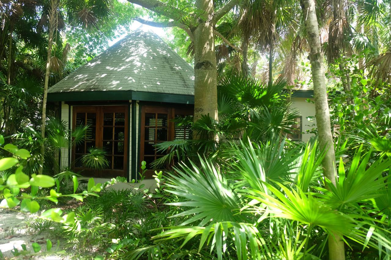 Jungle Cocoon Caye Caulker