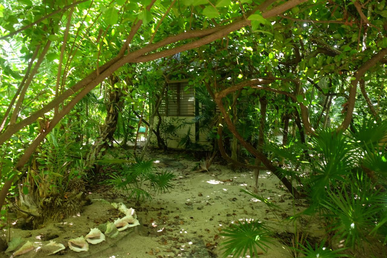Jungle Cocoon 3* Caye Caulker
