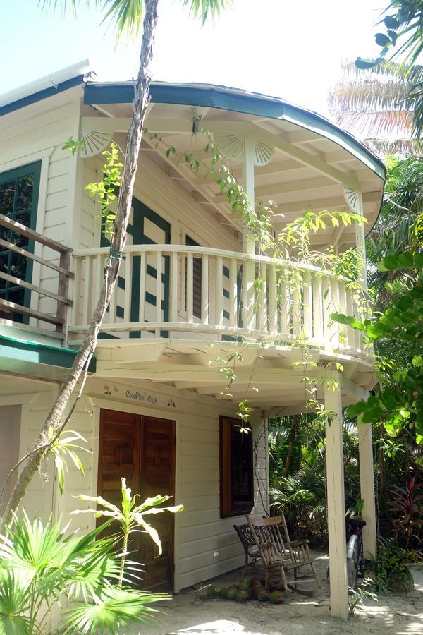 Jungle Cocoon Bed & Breakfast