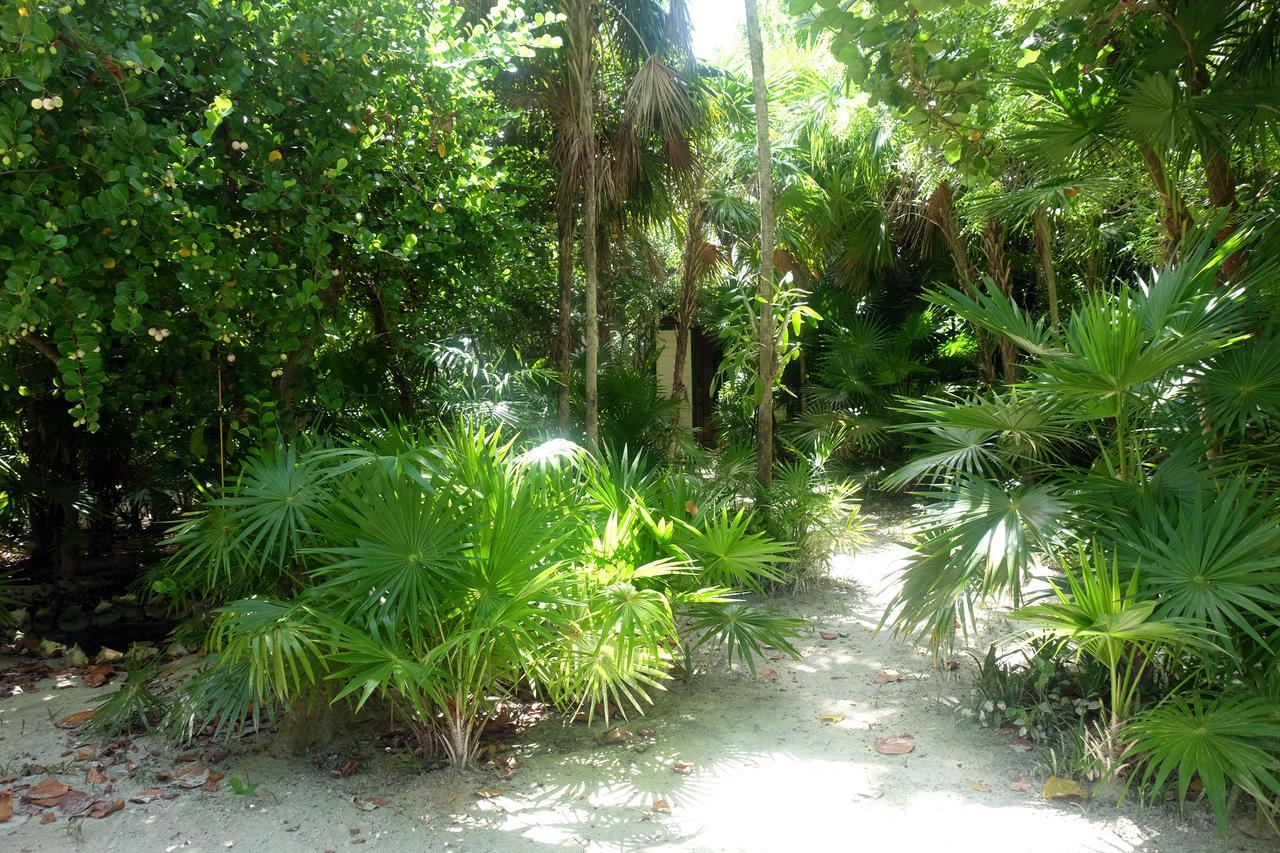 Jungle Cocoon Bed & Breakfast