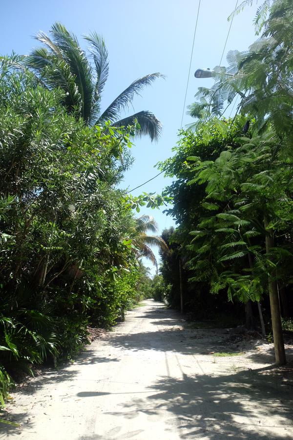 Jungle Cocoon Bed & Breakfast