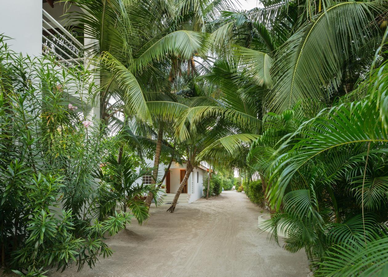 Weezie's Ocean Front And Garden 3*