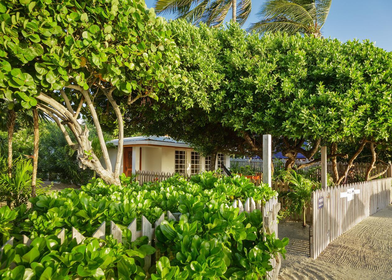 Weezie's Ocean Front And Garden 3* Caye Caulker