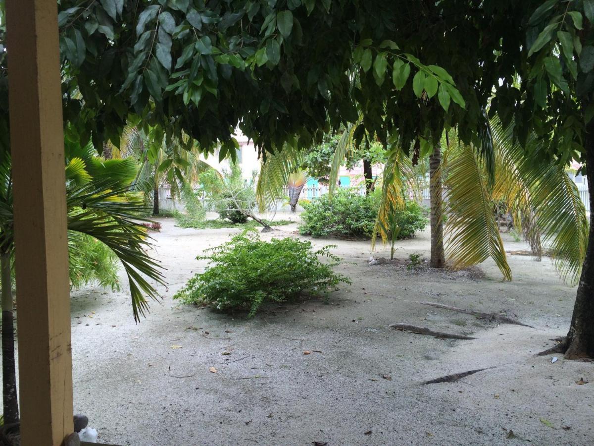 Guest house Jaguar Morning Star