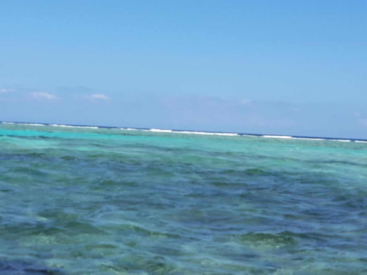 Wild Panther's & Hotel Caye Caulker