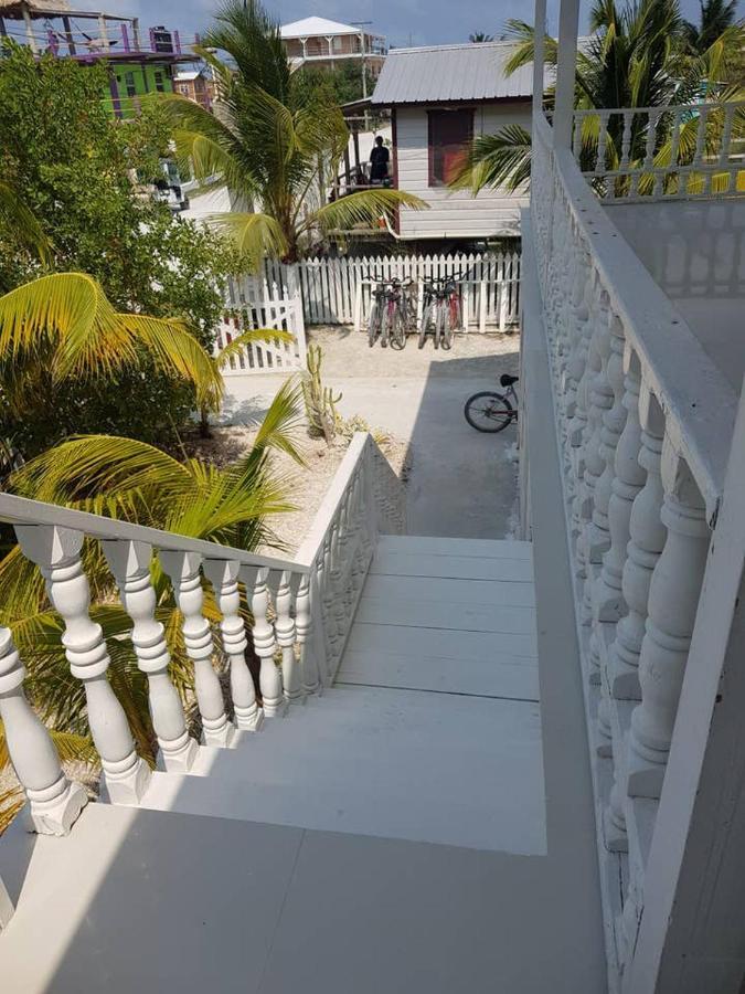 The French Lady * Caye Caulker