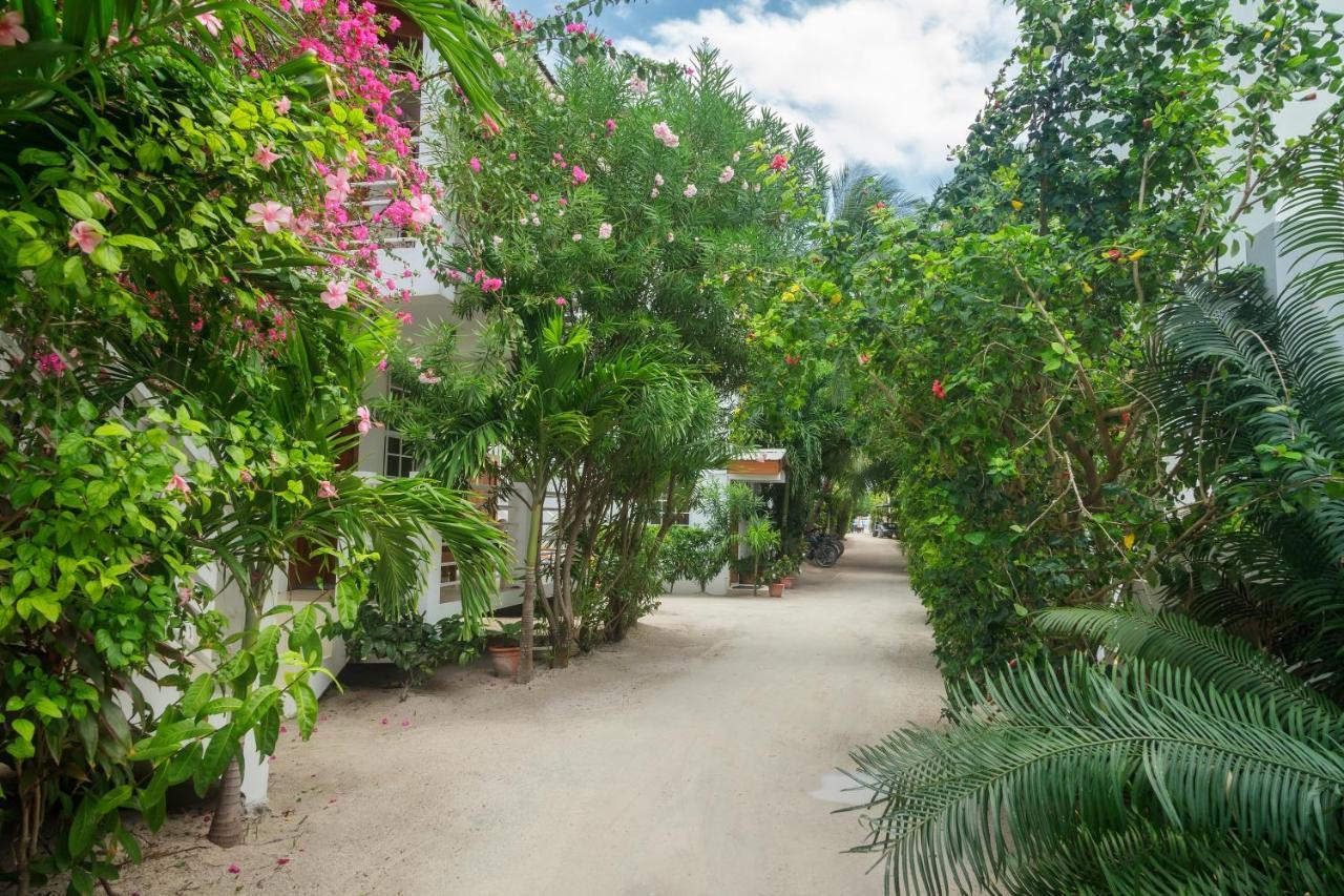 Weezie's Ocean Front And Garden Caye Caulker